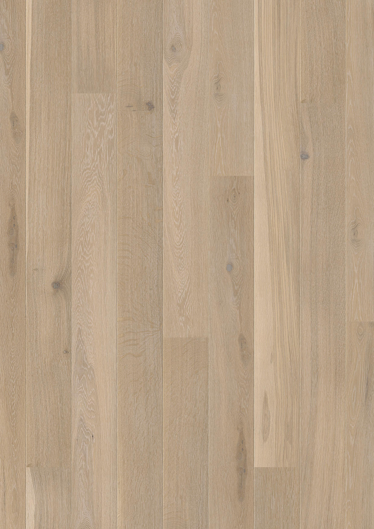 TWG 3-Schicht Parkett Landhausdiele Eiche Cruda naturell