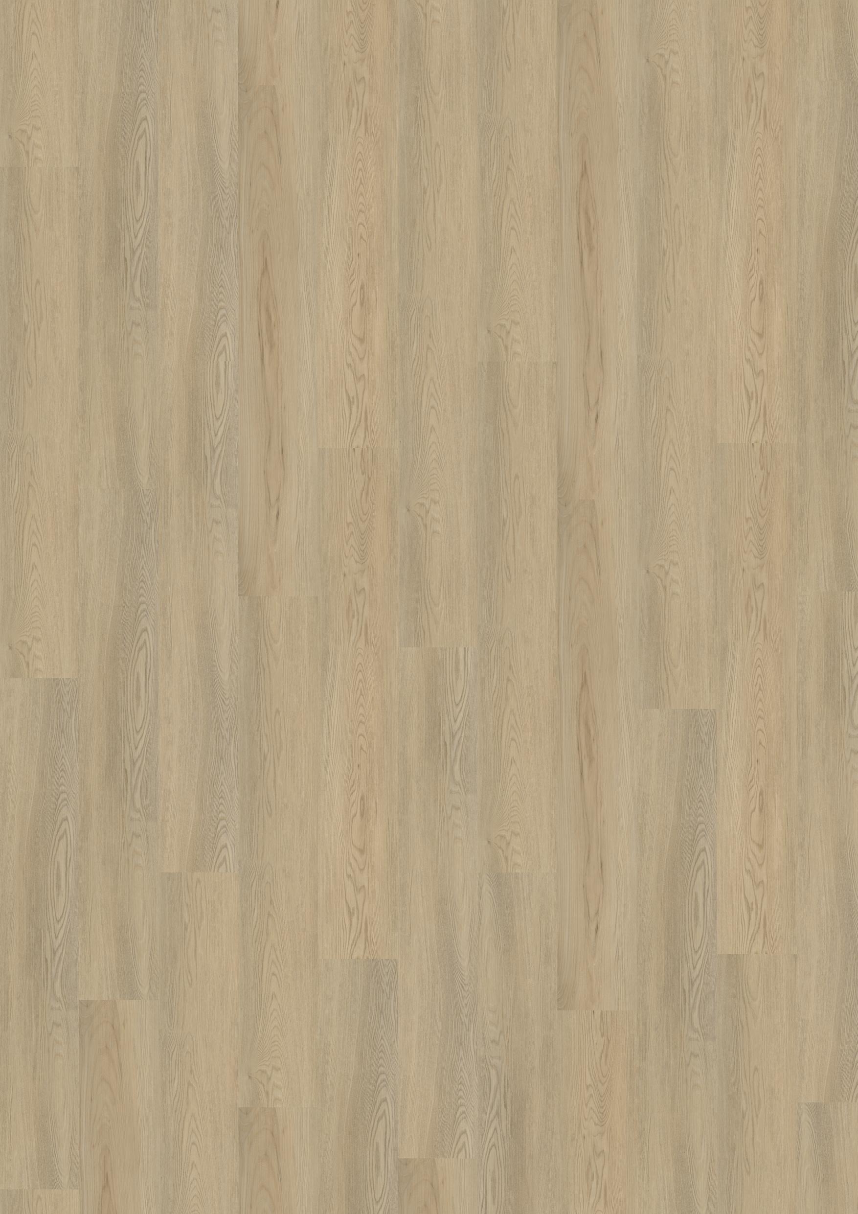 TWG Designline Connect 3.0 Wood XL Calm Ash Beige – Bild 2