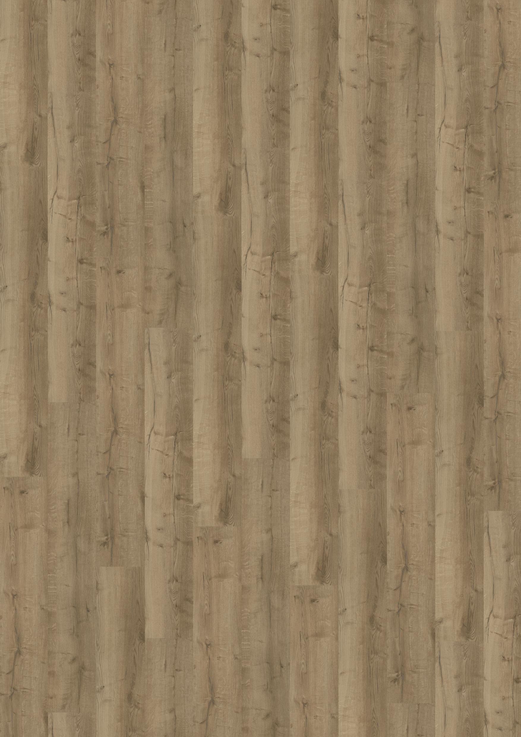 TWG Designline Connect 3.0 Wood XL Comfort Oak Nature – Bild 2