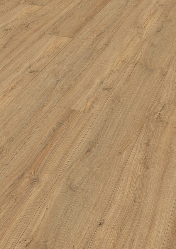 TWG Laminat Mega XXL Silent Eiche Tundra 7524 – Bild 2