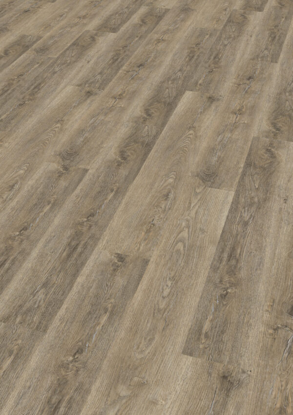 TWG Vinylboden Titan One 030 Gluedown Authentic Oak Natural – Bild 2