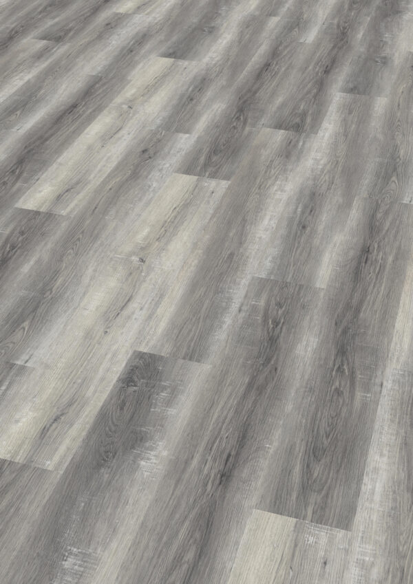 TWG Vinylboden Titan One 030 Gluedown Pure Oak Grey – Bild 2