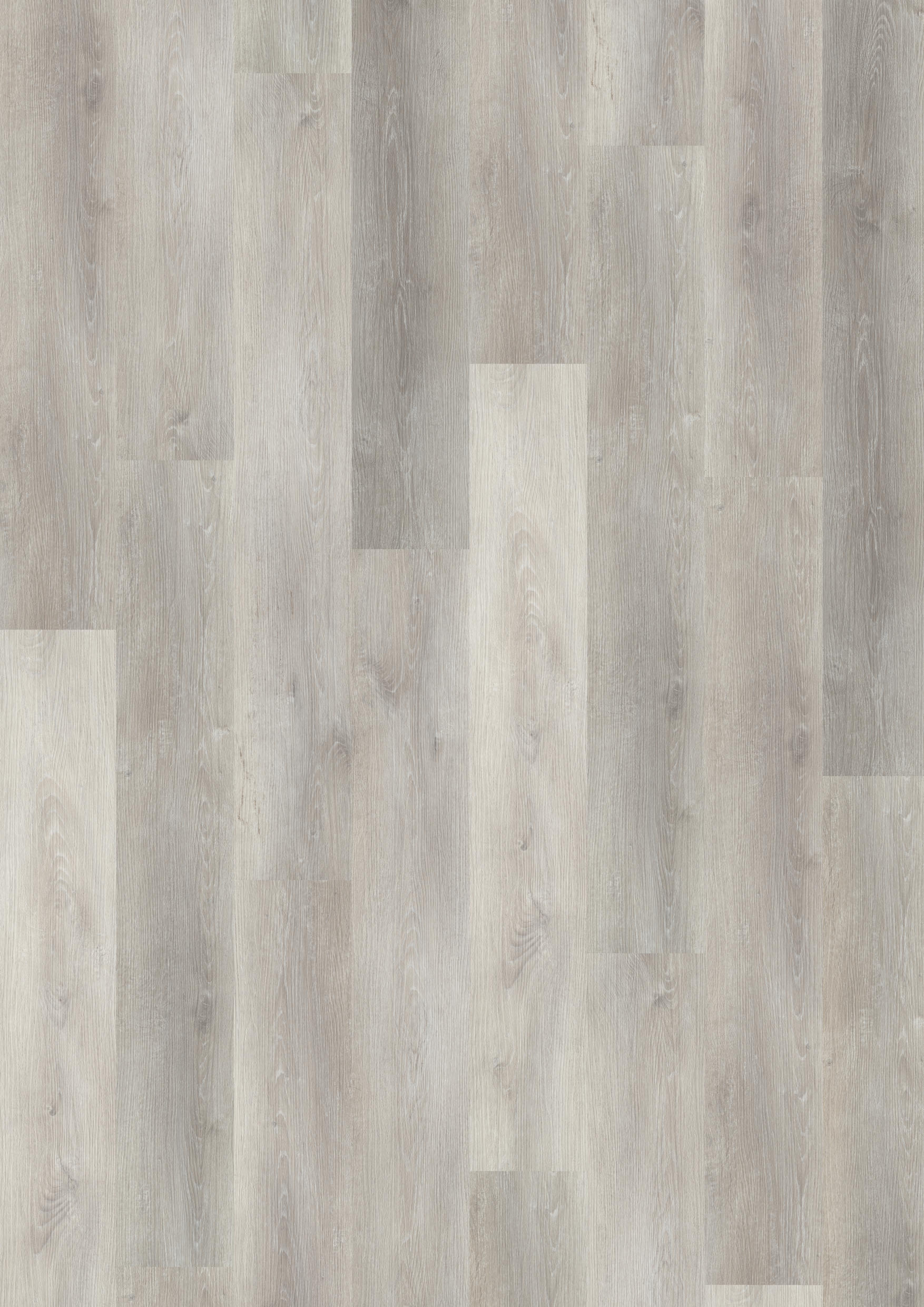 TWG Vinylboden Titan One 030 Gluedown Traditional Oak Greige