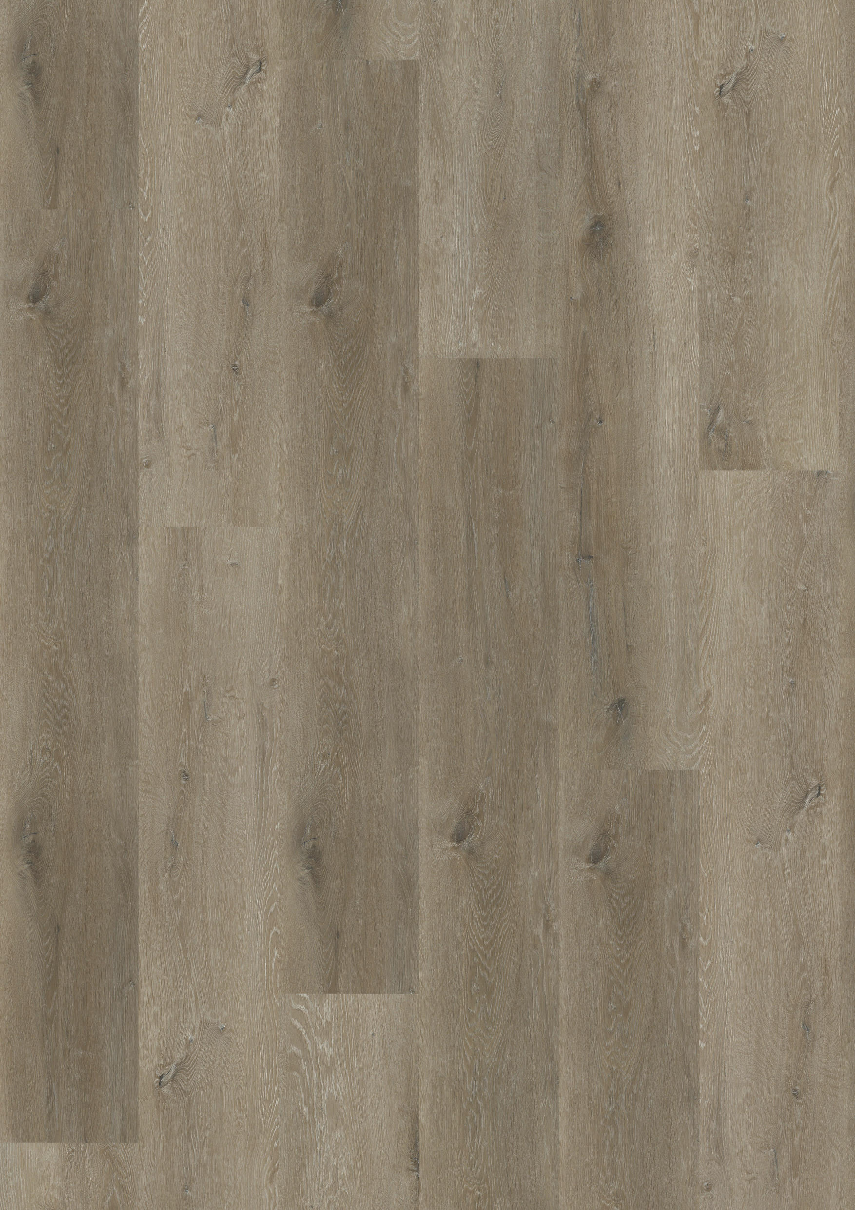 TWG Vinylboden Titan One 030 XL Gluedown Prestige Oak Natural