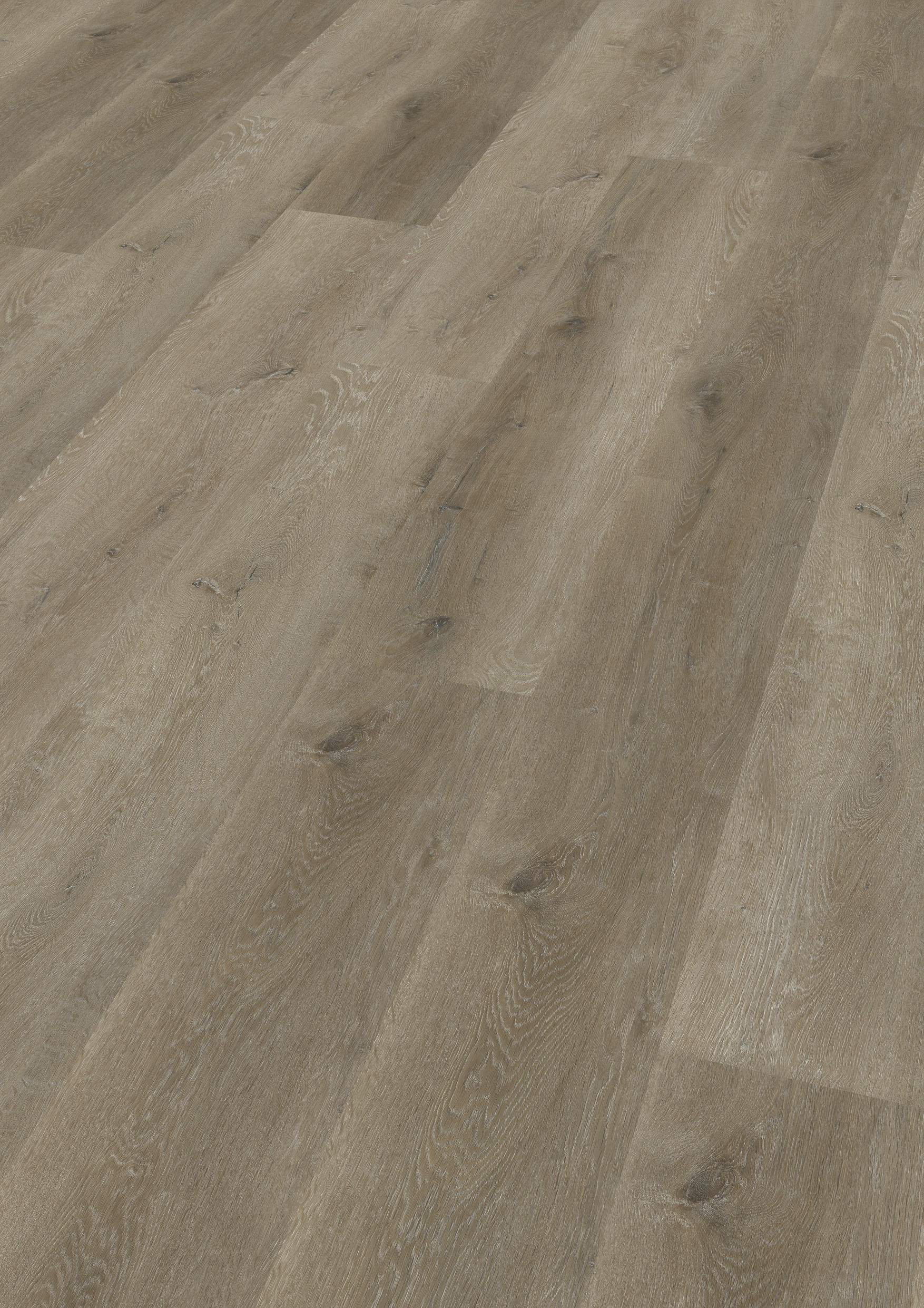 TWG Vinylboden Titan One 030 XL Gluedown Prestige Oak Natural – Bild 2