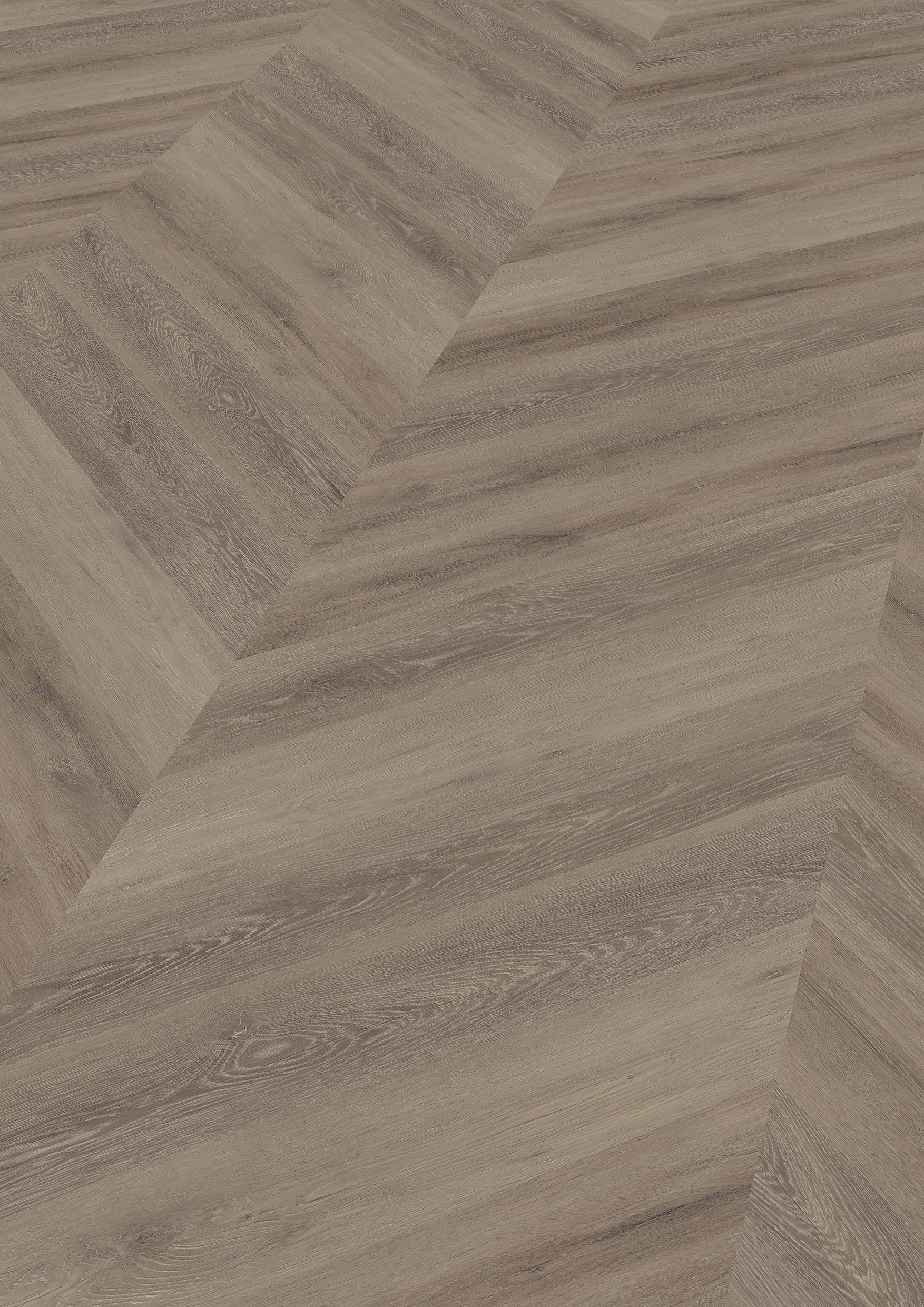 TWG Vinylboden Titan One 055 Chevron Gluedown Cerused Oak Dark Natural – Bild 2