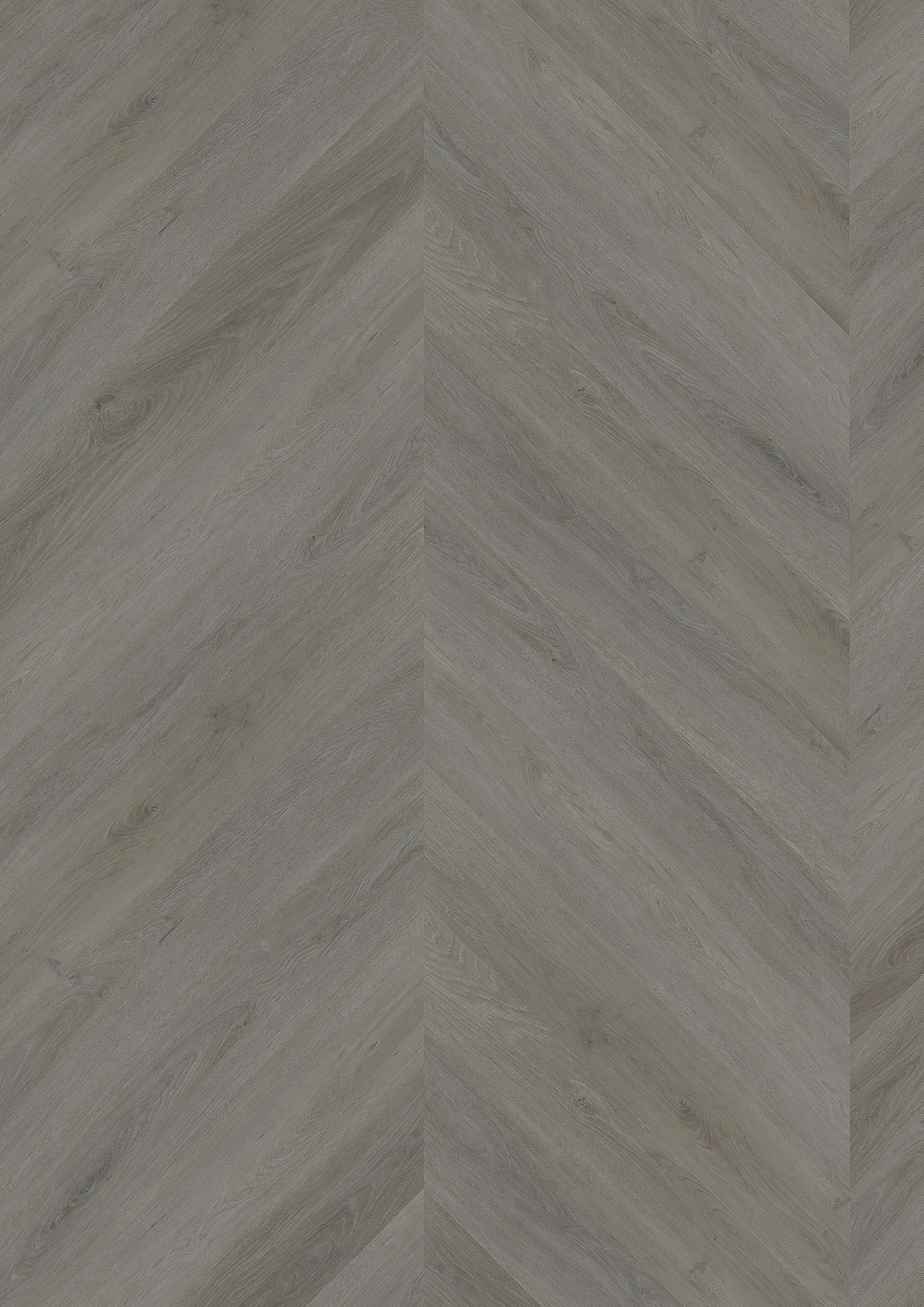 TWG Vinylboden Titan One 055 Chevron Gluedown English Oak Taupe