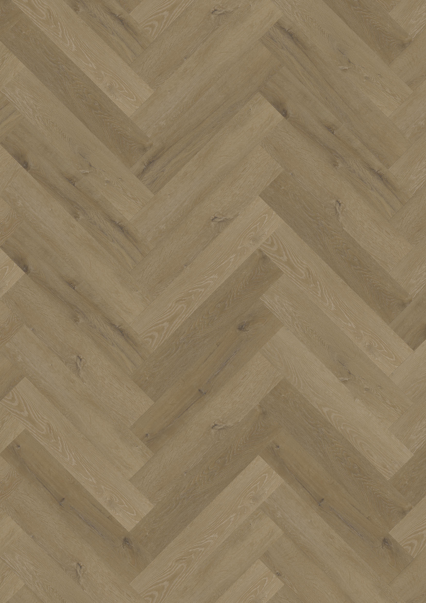 TWG Vinylboden Titan One 055 Fischgrät Gluedown Prestige Oak Light Amber