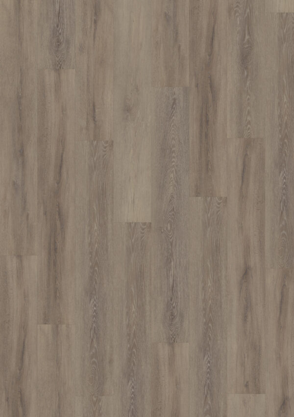 TWG Vinylboden Titan One 055 Gluedown Cerused Oak Dark Natural