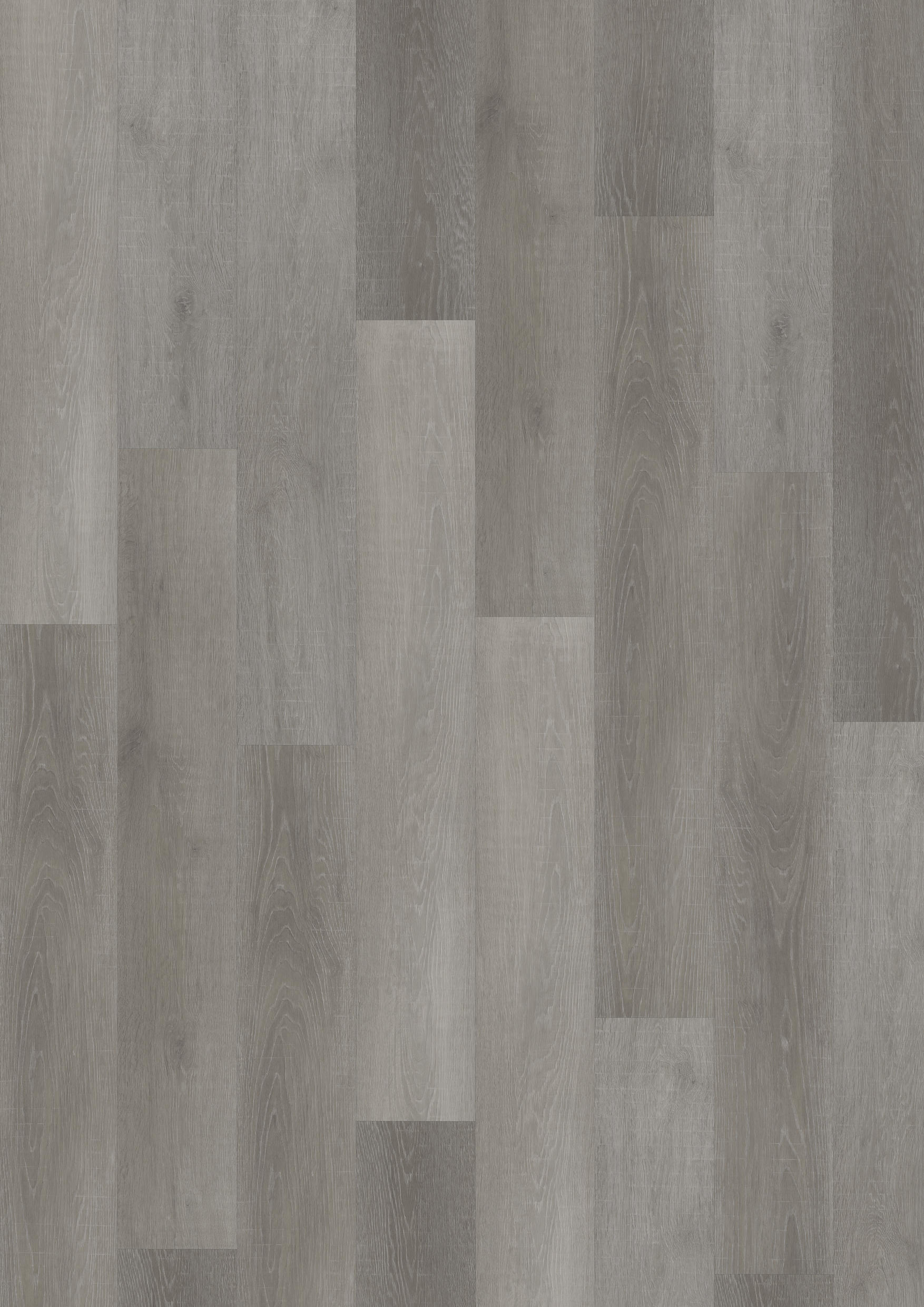 TWG Vinylboden Titan One 055 Gluedown Flemish Oak Grey