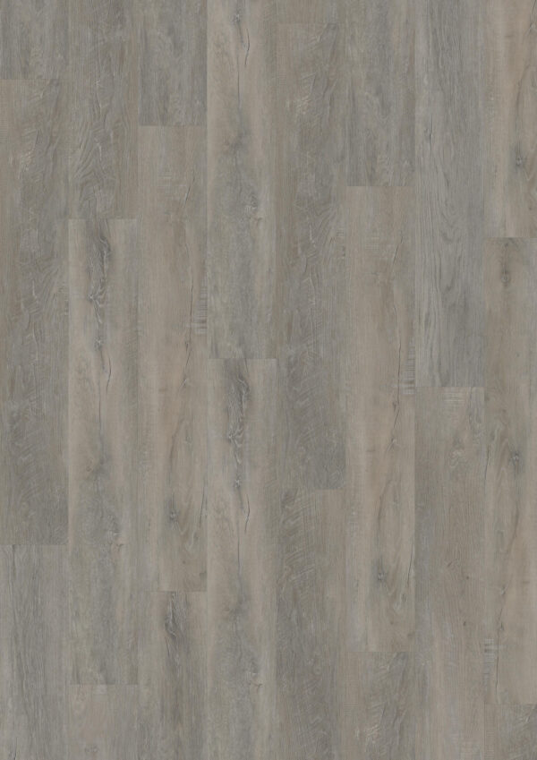 TWG Vinylboden Titan One 055 Gluedown Old Oak Greige