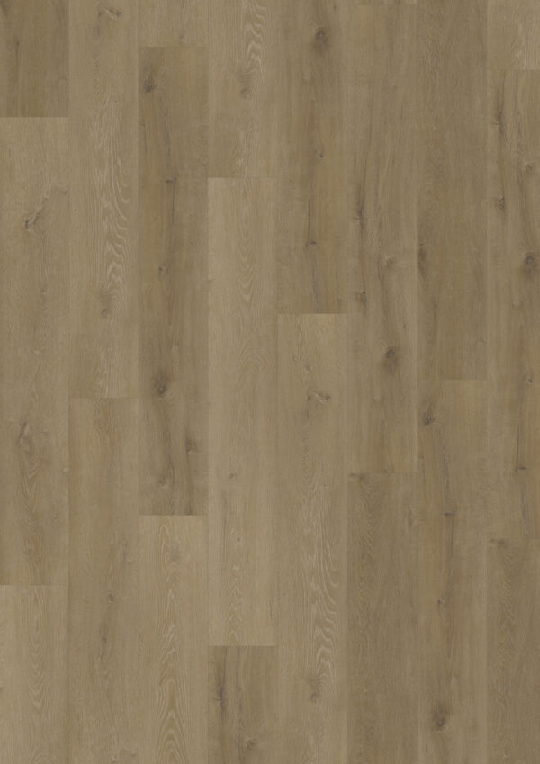 TWG Vinylboden Titan One 055 Gluedown Prestige Oak Light Amber