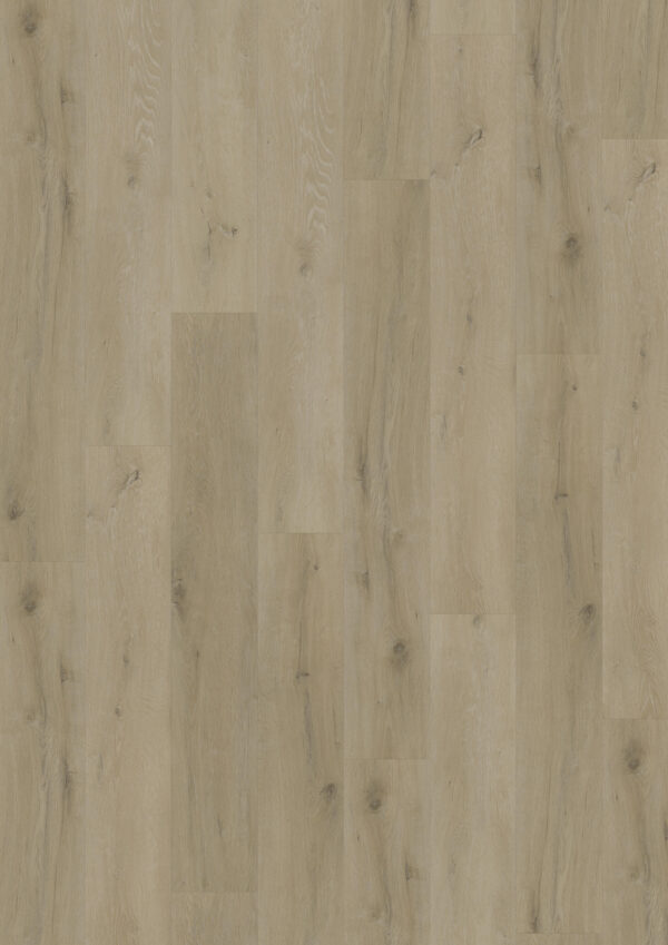 TWG Vinylboden Titan One 055 Gluedown Prestige Oak Natural