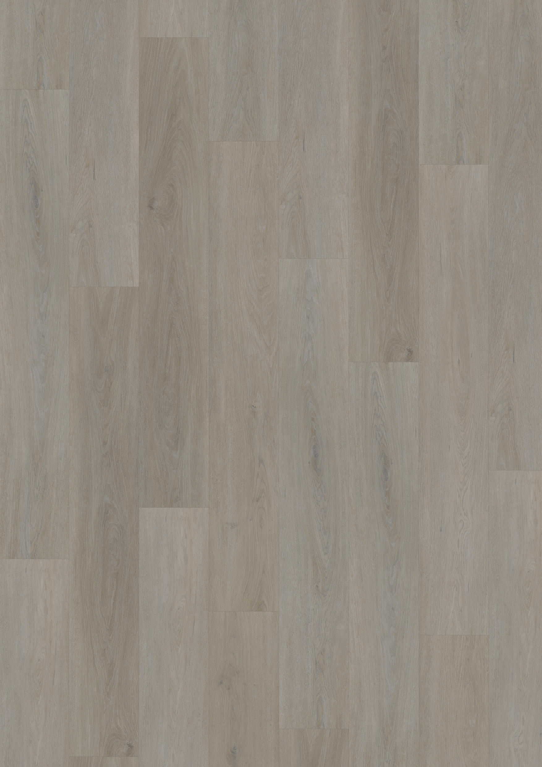 TWG Vinylboden Titan One 055 Rigid - Click English Oak Greige