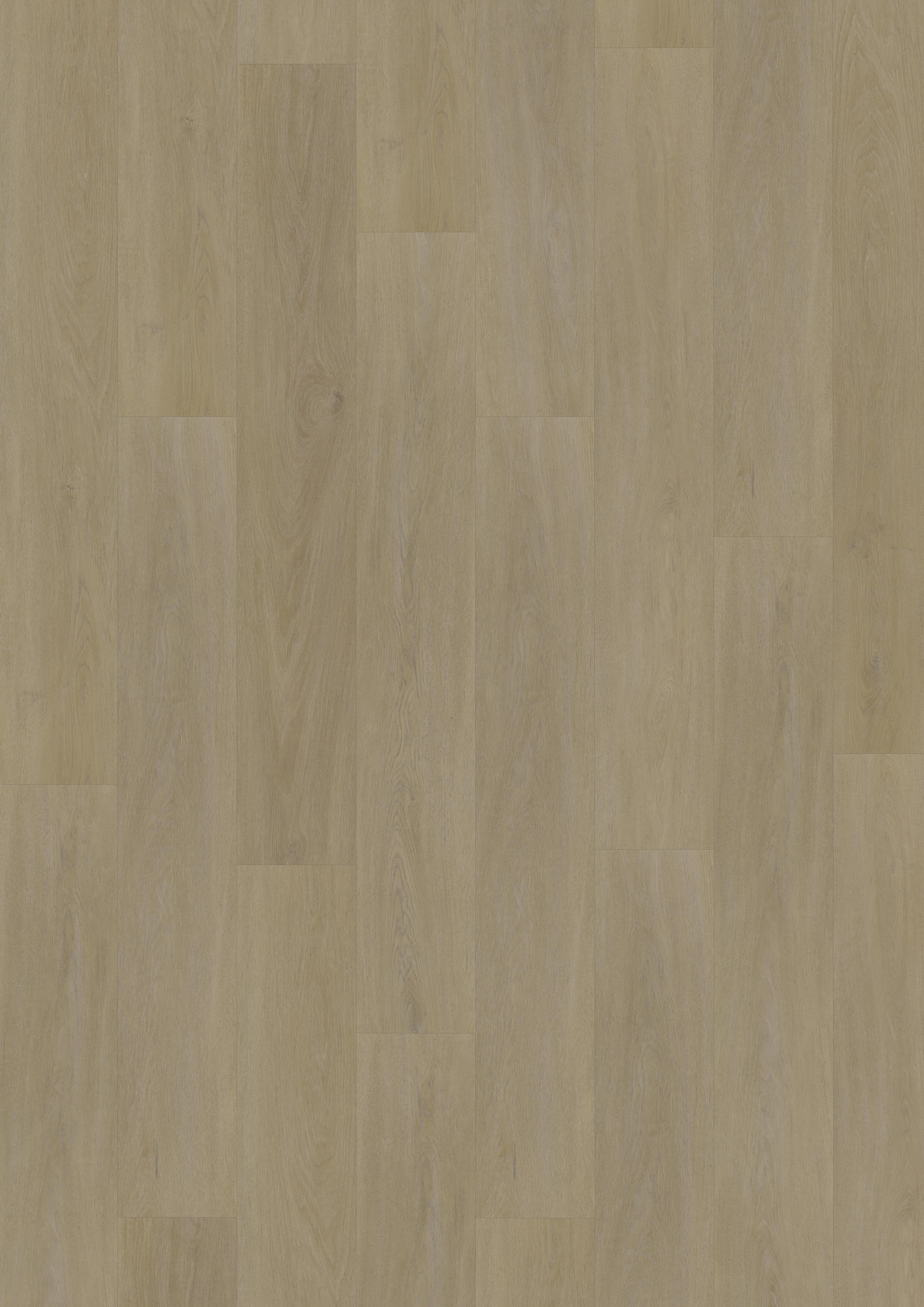 TWG Vinylboden Titan One 055 Rigid - Click English Oak Natural