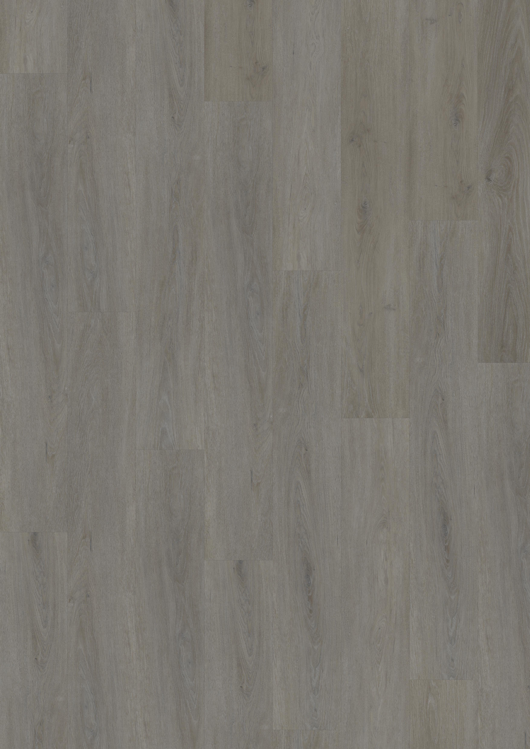 TWG Vinylboden Titan One 055 Rigid - Click English Oak Taupe