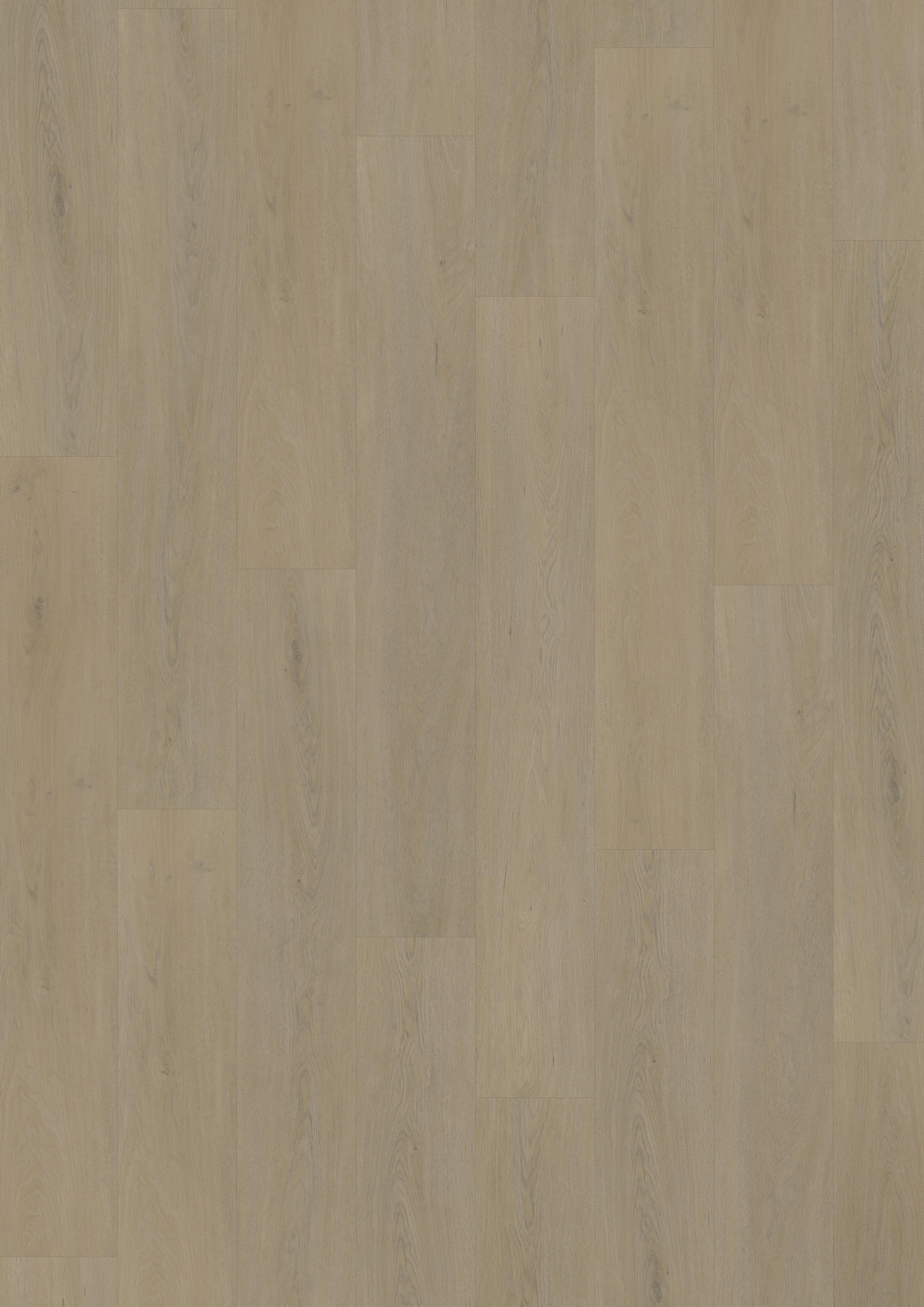 TWG Vinylboden Titan One 055 Rigid - Click English Oak Warm Natural