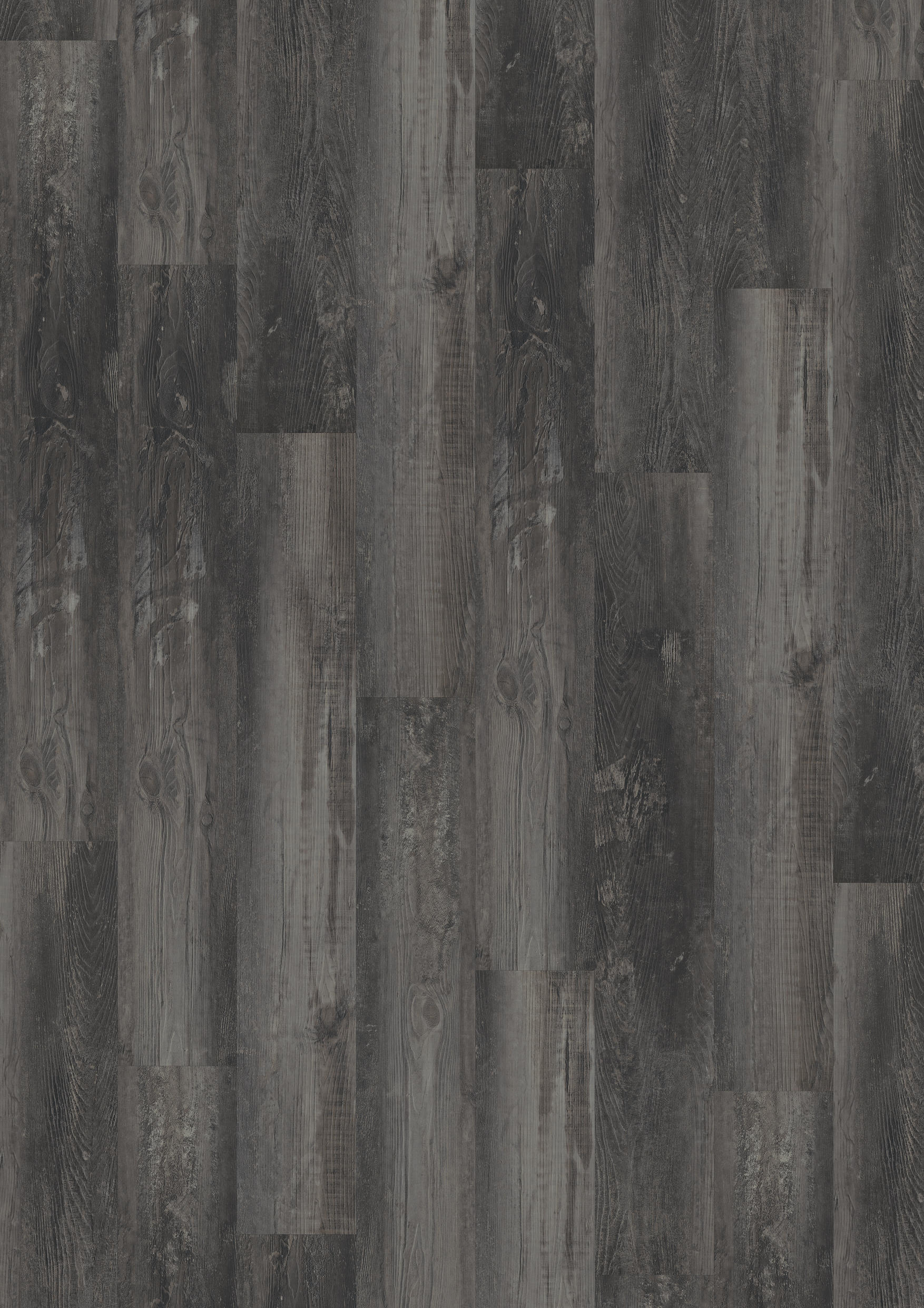 TWG Vinylboden Titan One 055 Rigid - Click Smoked Pine Black