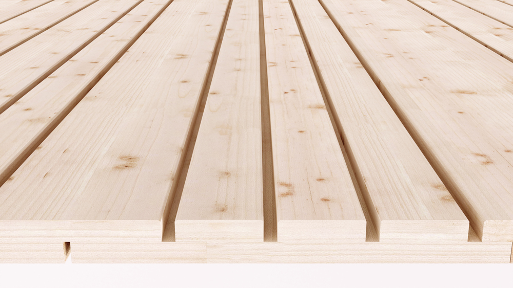 TWG Fassade visioface - heimatnah Quattro S Typ 2 Natur – Bild 3